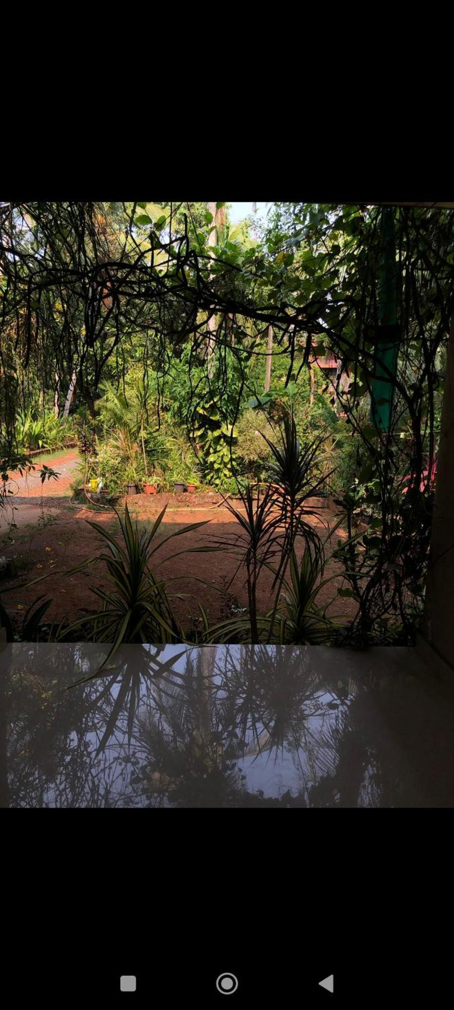 Narayanalayam-Vintage Retreat-Homestay & Rest'Inn Kannúr Kültér fotó